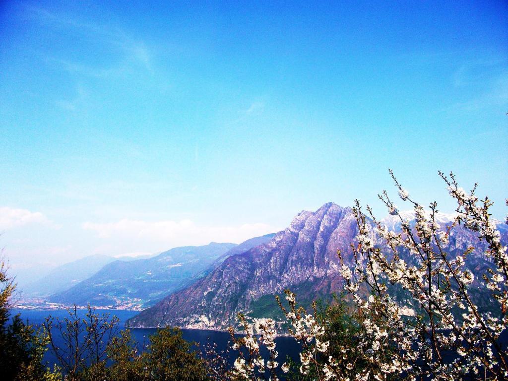 Hotel Poggio D'Oro Riva di Solto Ngoại thất bức ảnh